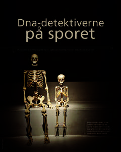Dna-detektiverne 	 		 	 på sporet Af jour nalist Svend Thaning, Det Natur- og Biovidenskabelige Fakultet, Københavns Universitet Det er langt fra sikkert, at alle nutidens mennesker har den