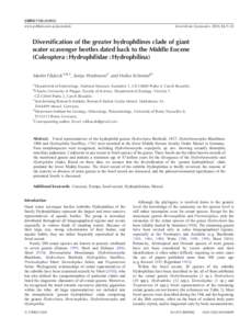 Hydrophilidae / Messel pit / Fossil / Germany / Historical geology / Geography of Europe / Beetles / Hydrophilus / Hydrophiloidea