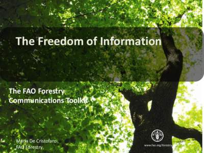 The Freedom of Information  The FAO Forestry Communications Toolkit  Maria De Cristofaro
