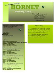 HORNET Wrestling Camp A four day Training camp! July 22-25, 2014 9:00 AM – 3:00 PM