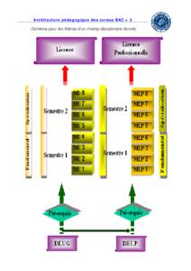 Architecture pédagogique des cursus BAC + 3  (Schéma pour les filières d’un champ disciplinaire donné) 