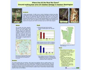 Where Has All the Root Rot Gone? Ground truthing bear and root disease damage in Western Washington