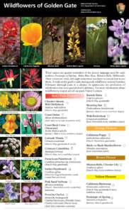 Land management / Lupinus arboreus / Lupinus albifrons / Lupinus / Grassland / Clarkia / Eriogonum / Flowers / Agriculture / Botany