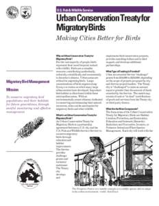 U.S. Fish & Wildlife Service  Urban Conservation Treaty for MigratoryBirds Making Cities Better for Birds