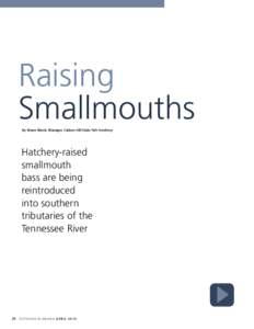 Raising Smallmouths By Shane Bland, Manager, Carbon Hill State Fish Hatchery Hatchery-raised smallmouth