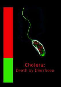Cholera:  Death by Diarrhoea 2