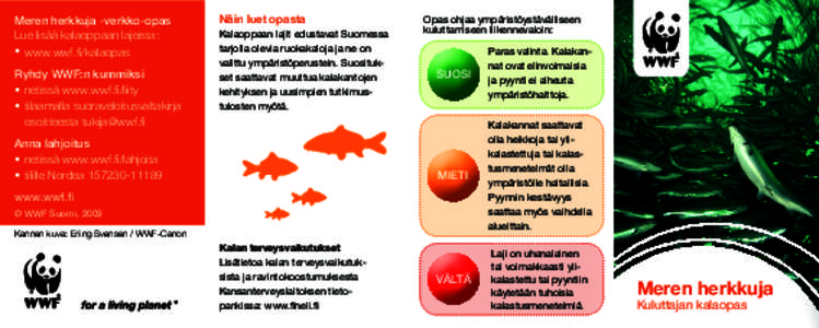 Meren herkkuja -verkko-opas Lue lisää kalaoppaan lajeista: • www.wwf.fi/kalaopas Ryhdy WWF:n kummiksi • netissä www.wwf.ﬁ/liity • tilaamalla suoraveloitusvaltakirja