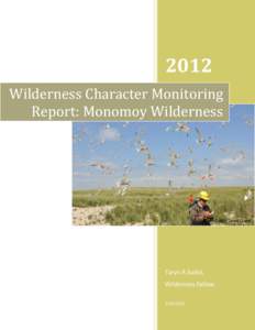 Wilderness Character Monitoring Report: Monomoy Wilderness