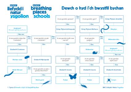 BBC Breathing Places Schools_Find your minibeast_Welsh