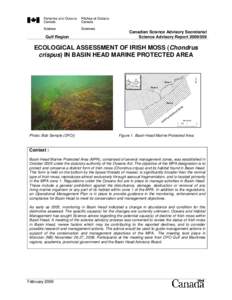 Moss / Lake / Algae / Ulva / Eutrophication / Water / Chondrus crispus / Red algae