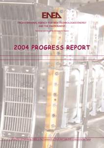 ITALIAN NATIONAL AGENCY FOR NEW TECHNOLOGIES ENERGY AND THE ENVIRONMENT Technical and Scientific Division for Fusion 2004 PROGRESS REPORT