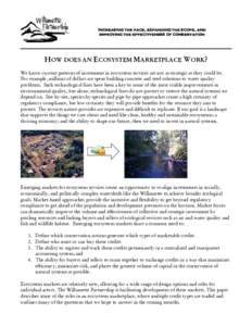 Microsoft Word - How does an Ecosystem Marketplace Work With Questions.doc