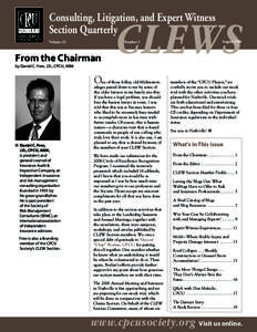 Consulting, Litigation, and Expert Witness Section Quarterly CLEWS  August 2006