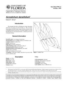 Fact Sheet FPS-12  October, 1999 Acrostichum daneifolium1 Edward F. Gilman2