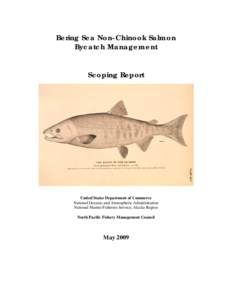 Bering Sea Non-Chinook Salmon Bycatch Scoping Report, May 2009