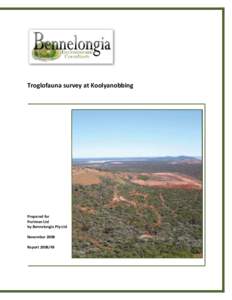 Geography of Western Australia / Economic geology / Koolyanobbing /  Western Australia / Yilgarn Craton / Mining / Ore / Open-pit mining / Mount Jackson /  Western Australia / Geology / States and territories of Australia / Goldfields-Esperance