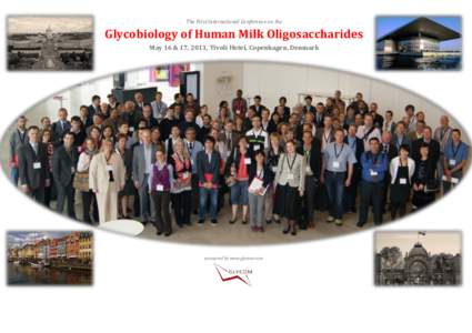 The First International Conference on the  Glycobiology of Human Milk Oligosaccharides May 16 & 17, 2011, Tivoli Hotel, Copenhagen, Denmark  sponsored by www.glycom.com