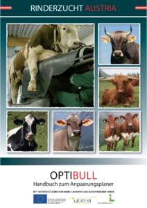 RINDERZUCHT AUSTRIA  OPTIBULL