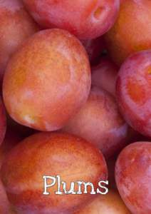 Plums  Plums Are they a fruit or a vegetable? Plums are stone fruits and belong to the Rose family, like cherries, pears and apples.