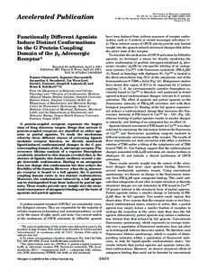 THE JOURNAL OF BIOLOGICAL CHEMISTRY Vol. 276, No. 27, Issue of July 6, pp[removed]–24436, 2001 © 2001 by The American Society for Biochemistry and Molecular Biology, Inc. Printed in U.S.A.  Accelerated Publication