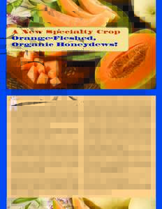 A New Specialty Crop Orange-Fleshed, Organic Honeydews! PEGGY GREB (D942-1)  Orange-fleshed honeydew melons may be a better choice for organic growers than cantaloupe because of its absence of netting, which is