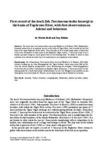 First record of the loach fish Turcinoemacheilus kosswigi in the basin of Euphrates River, with first observations on habitat and behaviour