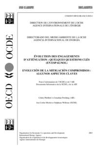 Microsoft Word - Long Term Issues - COM-ENV-EPOC-IEA-SLT_2003_3-Spanish.doc