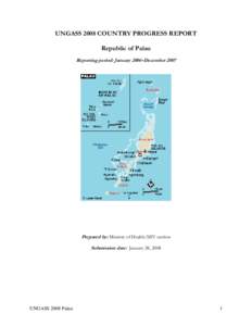 Microsoft Word - Palau narrative report.doc