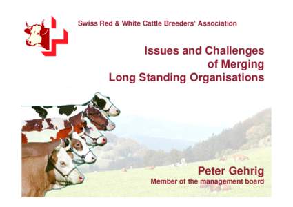 Swiss Red & White Cattle Breeders‘ Association  Issues and Challenges of Merging Long Standing Organisations