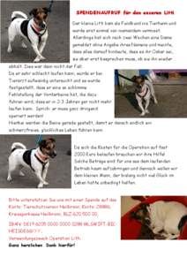 SPENDENAUFRUF für den unseren Litti Der kleine Litti kam als Fundhund ins Tierheim und wurde erst einmal von niemandem vermisst.