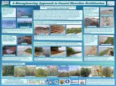A Bioengineering Approach to Coastal Shoreline Stabilization
