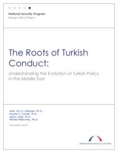 Turkey Conduct Paper[removed]13_final