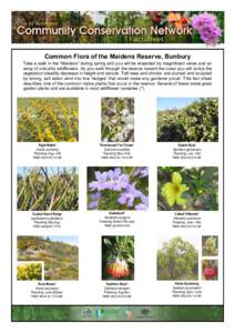 General Community Conservation Network Fact Sheet Common Flora of the Maidens Reserve