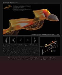 Professors Jaime Peraire and Mark Drela, and research scientist David Willis, are numerically simulating bat flight. Their collaboration with colleagues at Brown University on this topic may advance the design of highly 