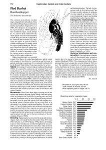 712  Capitonidae: barbets and tinker barbets