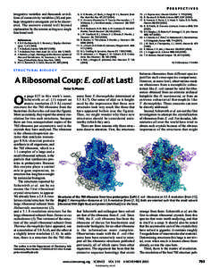 Genetics / Ribosome / Ribosomal protein / Ribosomal RNA / Transfer RNA / Messenger RNA / 50S / Leader peptidase A / RNA / Biology / Protein biosynthesis