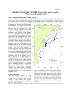 April[removed]SHORT-FINNED PILOT WHALE (Globicephala macrorhynchus): Western North Atlantic Stock STOCK DEFINITION AND GEOGRAPHIC RANGE There are 2 species of pilot whales in the western North Atlantic - the long-finned pi