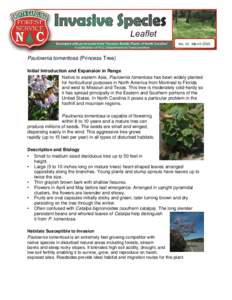 Microsoft Word - 14 Paulownia NNI LEAFLET.docx