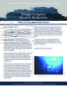 Deepwater Horizon Oil Spill Natural Resource Damage Assessment  Pelagic Longline Bycatch Reduction Phase IV Early Restoration Project PROJECT DESCRIPTION