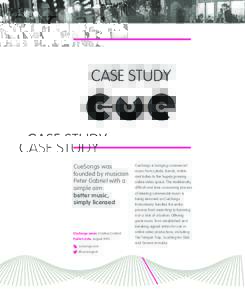 CASE STUDY  CueSongs was Small businesses founded by musician