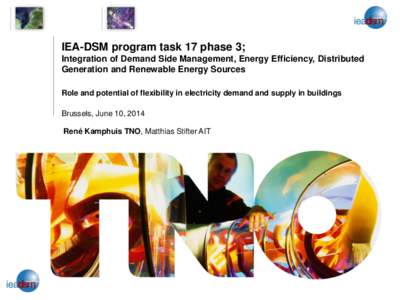 IEA-DSM program task 17 phase 3; Integration of Demand Side Management, Energy Efficiency, Distributed Generation and Renewable Energy Sources Role and potential of flexibility in electricity demand and supply in buildin