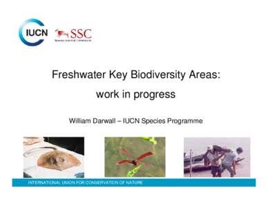 Freshwater Key Biodiversity Areas: work in progress William Darwall – IUCN Species Programme