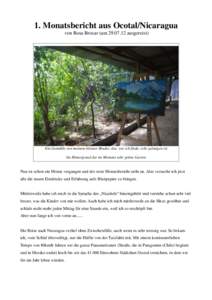 1. Monatsbericht aus Ocotal/Nicaragua von Rosa Brocar (am[removed]ausgereist) Ein Gemälde von meinem kleinen Bruder, das, wie ich finde, sehr gelungen ist. Im Hintergrund der im Moment sehr grüne Garten