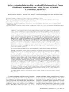 Surface swimming behavior of the curculionid Ochetina uniformis Pascoe  Surface swimming behavior of the curculionid Ochetina uniformis Pascoe 87