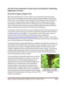 Environment / Pueraria / Invasive plant species / Megacopta cribraria / Kudzu / Brown marmorated stink bug / Pentatomidae / Invasive species / Bug / Biology / Agricultural pest insects / Shield bugs