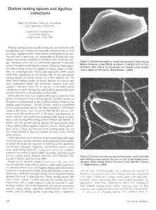 Diatom resting spores and Aguihas collections GRETA A. FRYXELL, TRACY A. VILLAREAL, and GREGORY J. DOUCETrE Department of Oceanography Texas A&M University