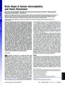 Brain shape in human microcephalics and Homo floresiensis Dean Falk*†, Charles Hildebolt‡, Kirk Smith‡, M. J. Morwood§, Thomas Sutikna¶, Jatmiko¶, E. Wayhu Saptomo¶,