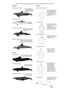 Microsoft Word - PRIA Bottomfish Log Protected Species 2008 final.doc