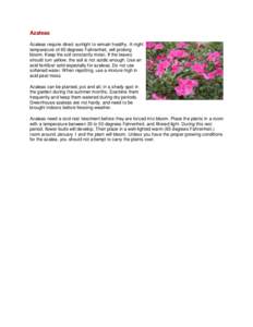 Azaleas Azaleas require direct sunlight to remain healthy. A night temperature of 60 degrees Fahrenheit, will prolong bloom. Keep the soil constantly moist. If the leaves should turn yellow, the soil is not acidic enough