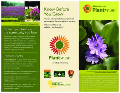 Invasive species / Weed / Pueraria montana / Invasive species in the United States / Environment / Invasive plant species / Agriculture